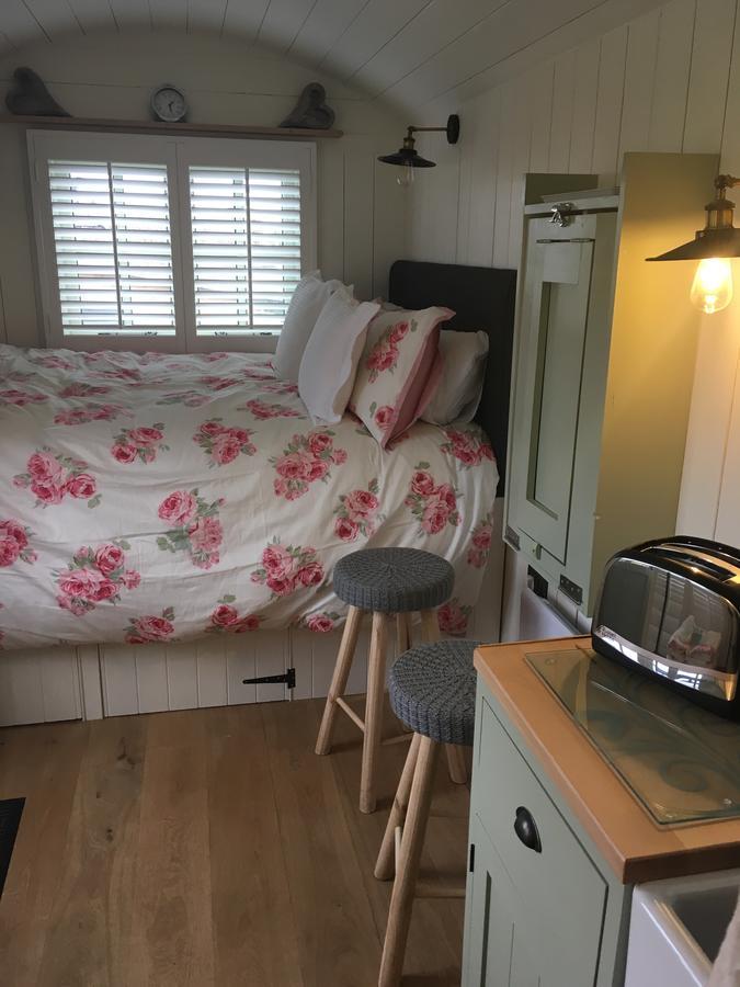 Frühstückspension Downsfield 5*
